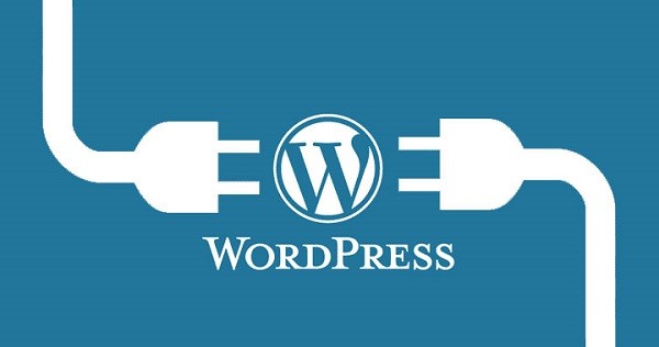 Học thiết kế Web bằng WordPress tại Bình Dương Chuẩn Seo